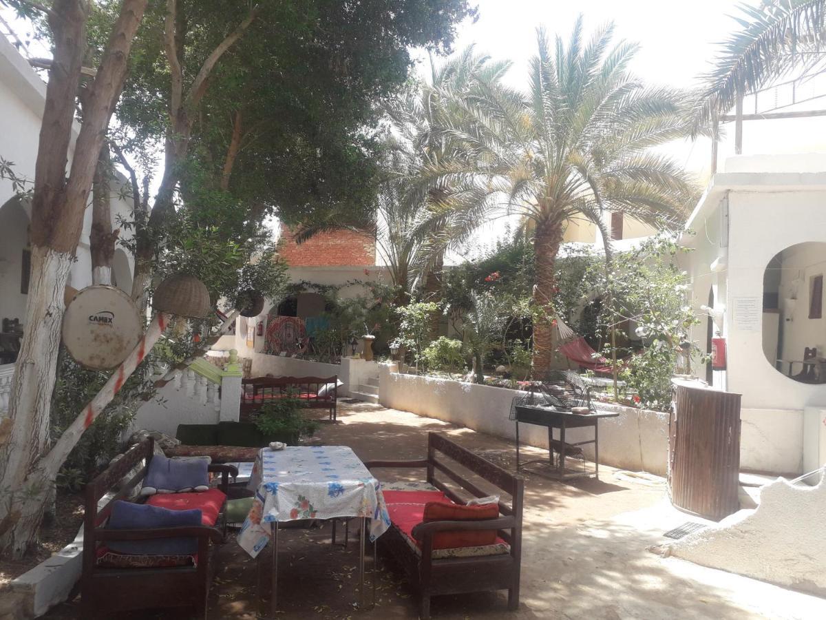 Fighting Kangaroo Camp Hotell Dahab Exteriör bild