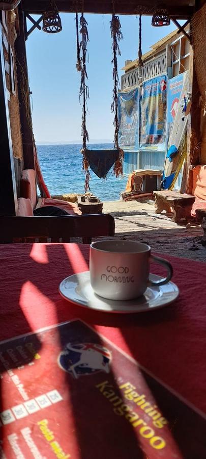 Fighting Kangaroo Camp Hotell Dahab Exteriör bild