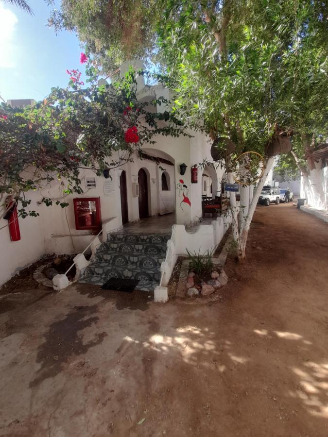 Fighting Kangaroo Camp Hotell Dahab Exteriör bild